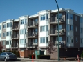 TMCWhiteROck_zps813bf7ea